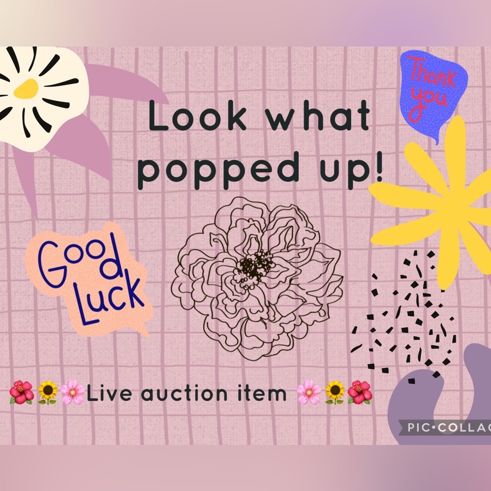Live auction listing!
